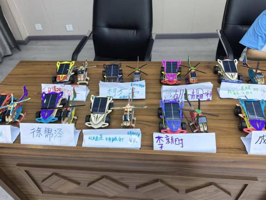 青春实践育新苗 全面发展促成长.docx